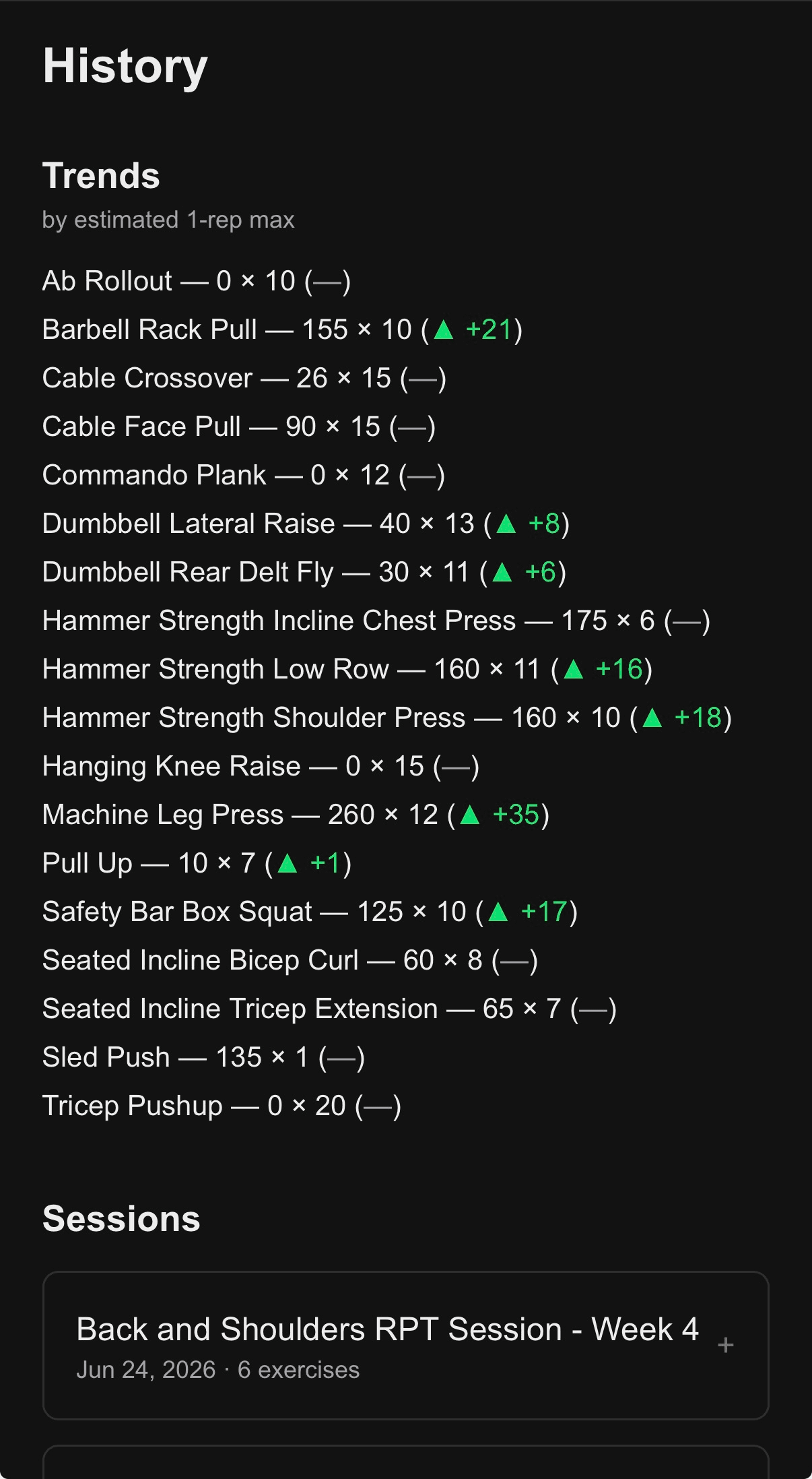 A history view of past sessions, showing logged results across previous workouts.